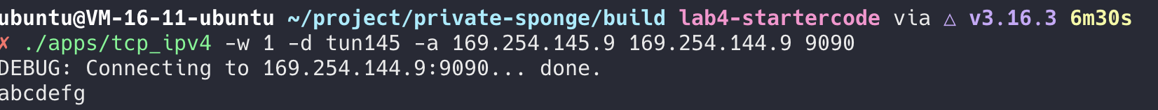 tcp-connection-test-client-zeroprobe