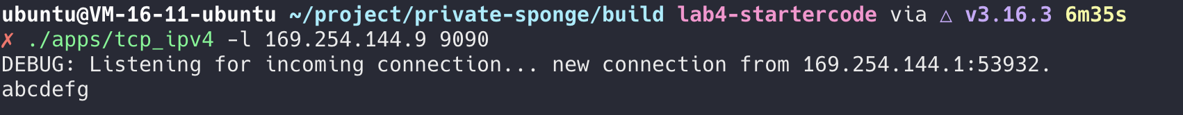 tcp-connection-test-server-zeroprobe